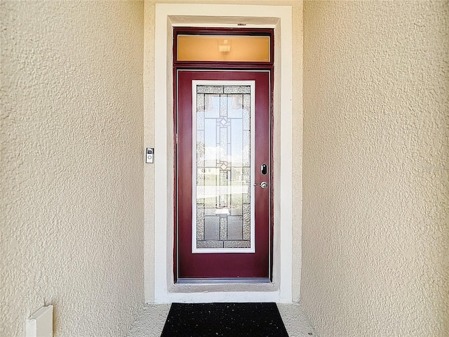 31542 Tansy Bnd, Wesley Chapel, FL 33545 - photo 8