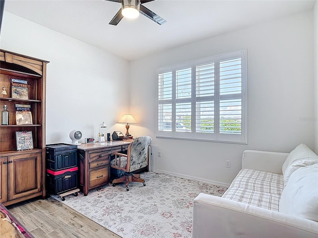 31542 Tansy Bnd, Wesley Chapel, FL 33545 - photo 36