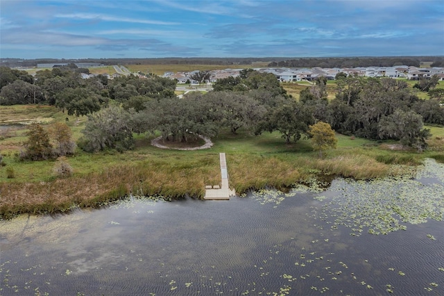 31542 Tansy Bnd, Wesley Chapel, FL 33545 - photo 91