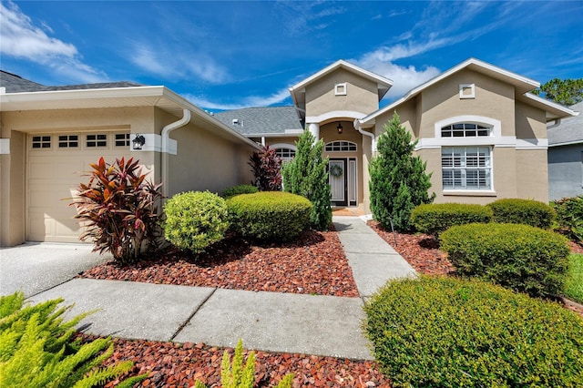 12524 Leatherleaf Dr, Tampa, FL 33626 - photo 4
