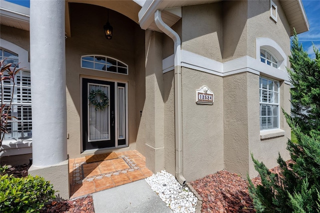 12524 Leatherleaf Dr, Tampa, FL 33626 - photo 5
