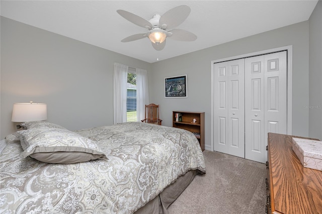 12524 Leatherleaf Dr, Tampa, FL 33626 - photo 27