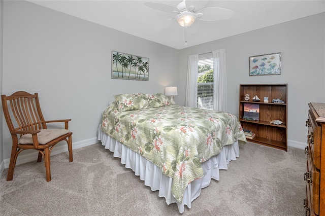 12524 Leatherleaf Dr, Tampa, FL 33626 - photo 30