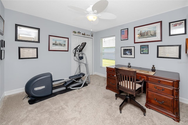 12524 Leatherleaf Dr, Tampa, FL 33626 - photo 32