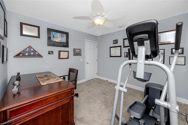 12524 Leatherleaf Dr, Tampa, FL 33626 - photo 33