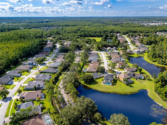 12524 Leatherleaf Dr, Tampa, FL 33626 - photo 52