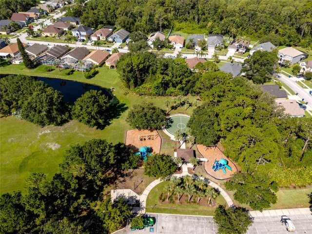 12524 Leatherleaf Dr, Tampa, FL 33626 - photo 54