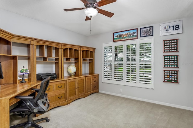 10231 Millport Dr, Tampa, FL 33626 - photo 11