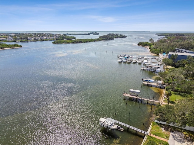 1873 Wacassassa St, Tarpon Springs, FL 34689 - photo 87
