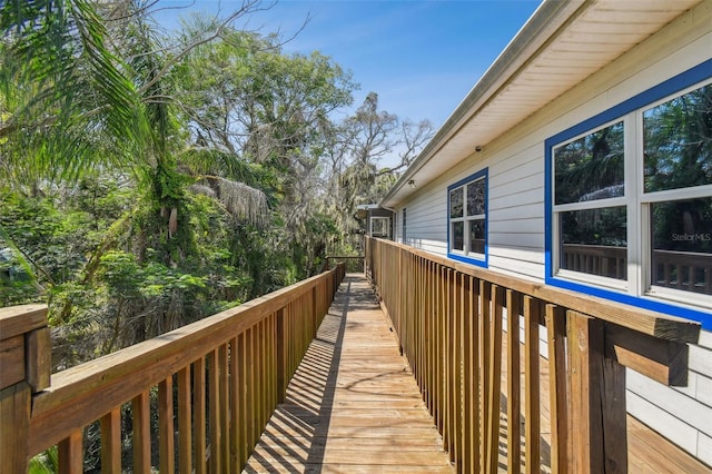 1873 Wacassassa St, Tarpon Springs, FL 34689 - photo 63