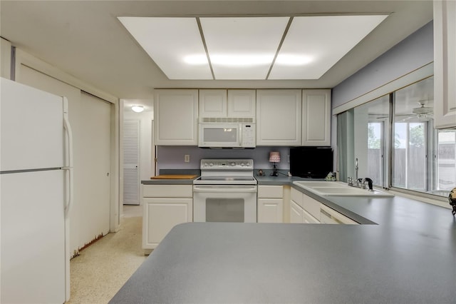 4017 Moog Rd, Holiday, FL 34691 - photo 19