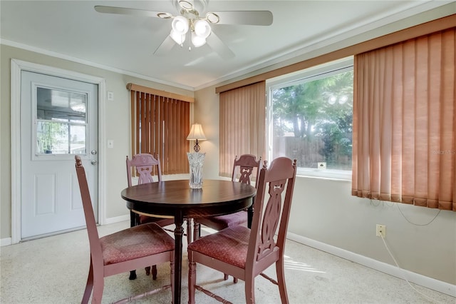 4017 Moog Rd, Holiday, FL 34691 - photo 38