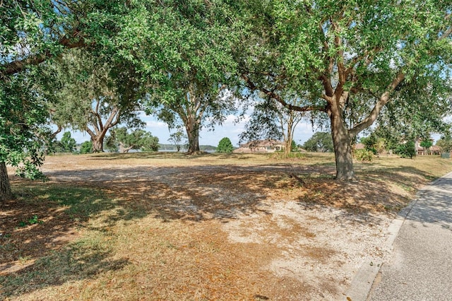 LOT29 Stonelake Ranch Blvd, Thonotosassa, FL 33592 - photo 3