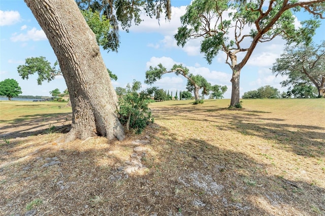 LOT29 Stonelake Ranch Blvd, Thonotosassa, FL 33592 - photo 23
