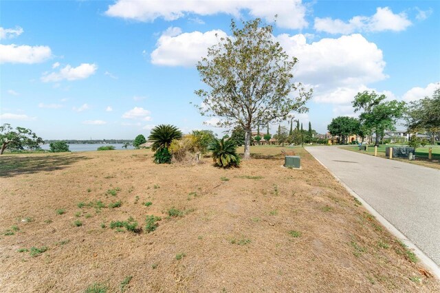 LOT29 Stonelake Ranch Blvd, Thonotosassa, FL 33592 - photo 39
