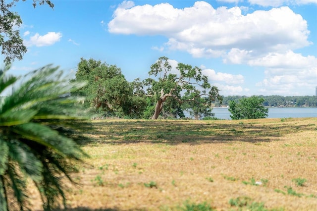 LOT29 Stonelake Ranch Blvd, Thonotosassa, FL 33592 - photo 44