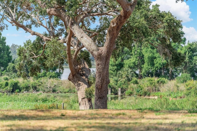 LOT29 Stonelake Ranch Blvd, Thonotosassa, FL 33592 - photo 46
