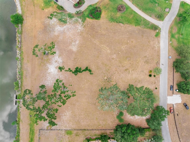 LOT29 Stonelake Ranch Blvd, Thonotosassa, FL 33592 - photo 70