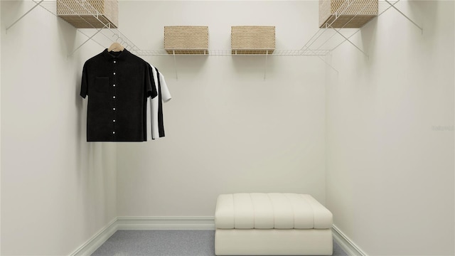 11753 71st Ave E, Palmetto, FL 34221 - view of walk in closet