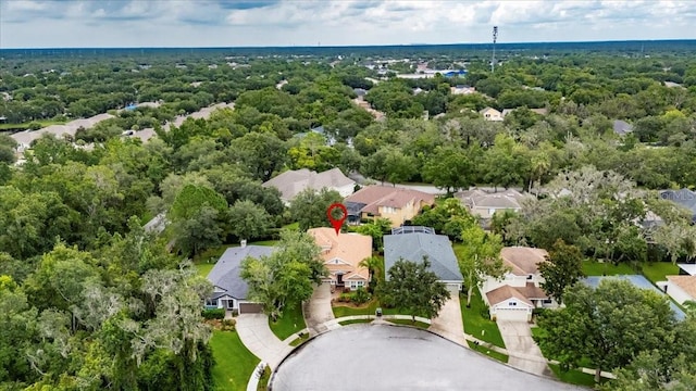 6104 Gannetwood Pl, Lithia, FL 33547 - photo 3
