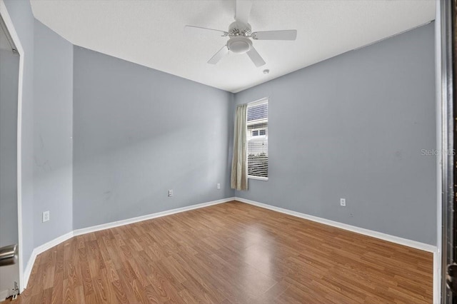 6104 Gannetwood Pl, Lithia, FL 33547 - photo 27