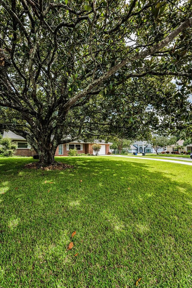 607 Spring Blossom Ct, Brandon, FL 33511 - view of front facade with a front lawn