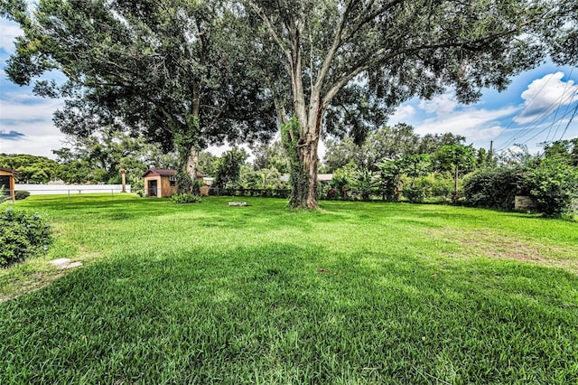 607 Spring Blossom Ct, Brandon, FL 33511 - view of yard featuring a storage shed