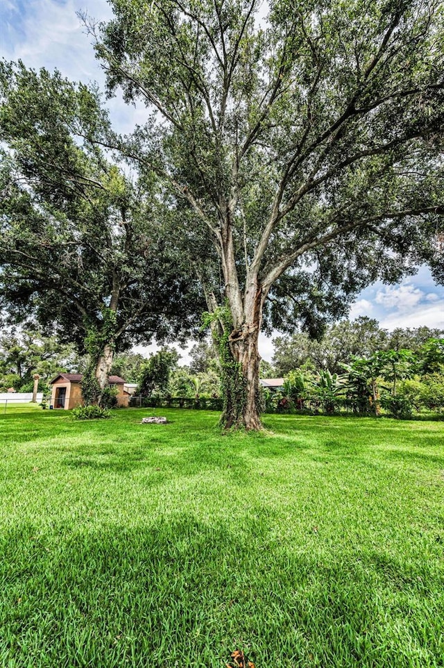 607 Spring Blossom Ct, Brandon, FL 33511 - view of grassy yard
