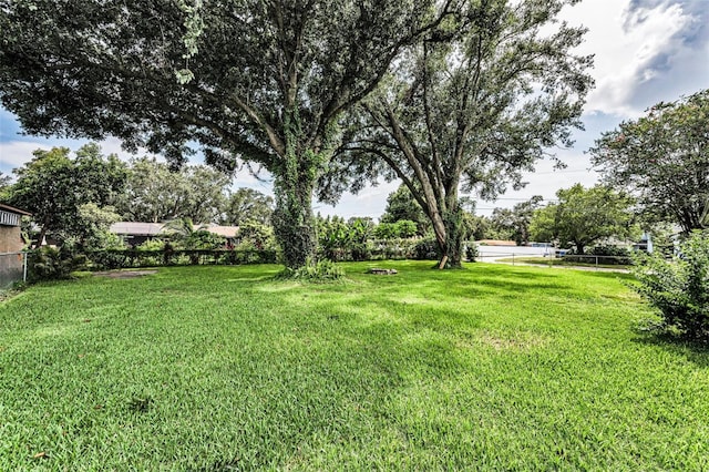 607 Spring Blossom Ct, Brandon, FL 33511 - view of yard