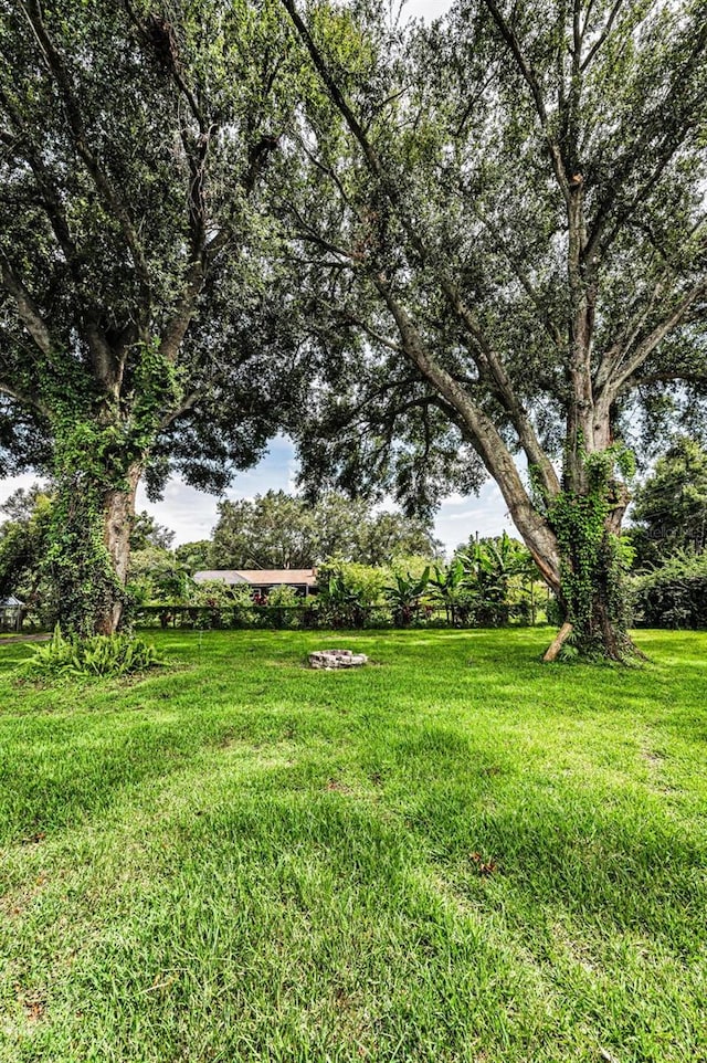 607 Spring Blossom Ct, Brandon, FL 33511 - view of green lawn