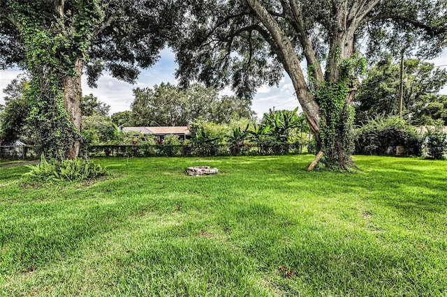 607 Spring Blossom Ct, Brandon, FL 33511 - view of yard