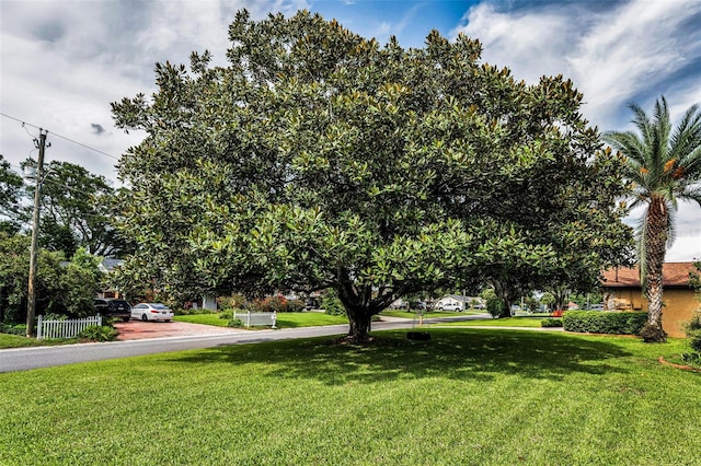 607 Spring Blossom Ct, Brandon, FL 33511 - view of grassy yard