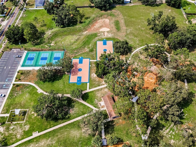 607 Spring Blossom Ct, Brandon, FL 33511 - aerial view of property and surrounding area