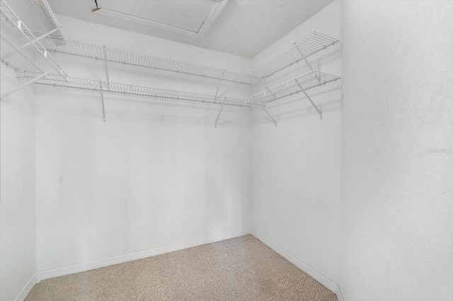 7018 Scrub Jay Way, Bradenton, FL 34203 - spacious closet featuring carpet