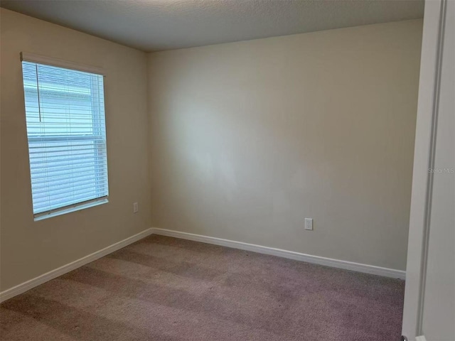 905 Rivers Crossing St, Clermont, FL 34714 - carpeted empty room featuring healthy amount of natural light