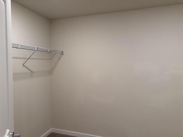 905 Rivers Crossing St, Clermont, FL 34714 - spacious closet featuring carpet flooring