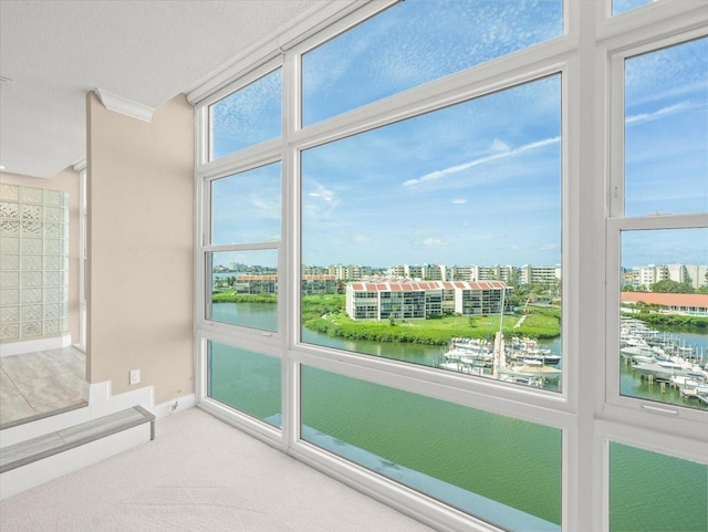 7600 Sun Island Dr S Unit 804, South Pasadena, FL 33707 - photo 33