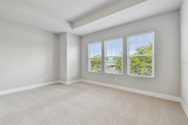 3105 4th Ter N, Saint Petersburg, FL 33713 - photo 21