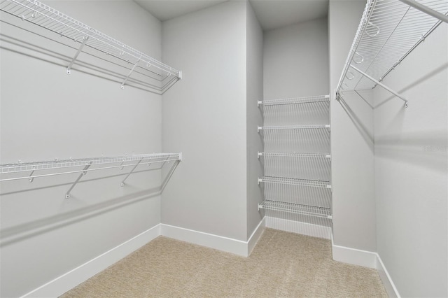 3105 4th Ter N, Saint Petersburg, FL 33713 - photo 28