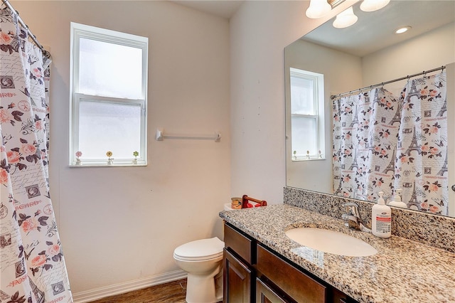 10146 Tuscan Sun Ave, Riverview, FL 33578 - full bathroom with healthy amount of natural light, vanity, wood finished floors, and curtained shower