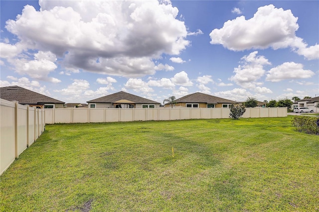 10146 Tuscan Sun Ave, Riverview, FL 33578 - view of yard