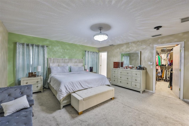 6314 Magnolia Trails Ln, Gibsonton, FL 33534 - bedroom with a walk in closet, carpet, and a textured ceiling