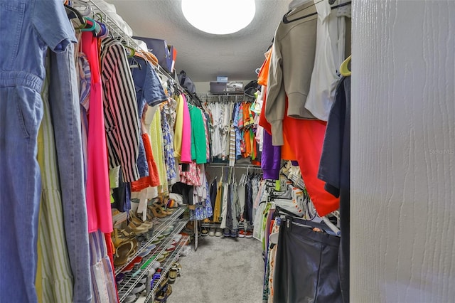 6314 Magnolia Trails Ln, Gibsonton, FL 33534 - walk in closet featuring carpet floors