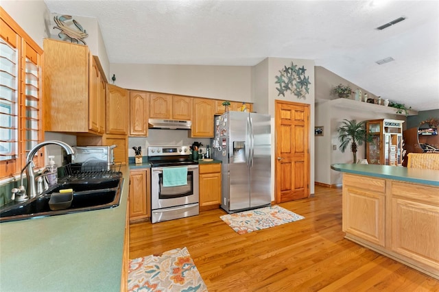1008 Mallow Way, Brandon, FL 33510 - kitchen featuring stainless steel appliances, under cabinet range hood, lofted ceiling, and light wood-style floors