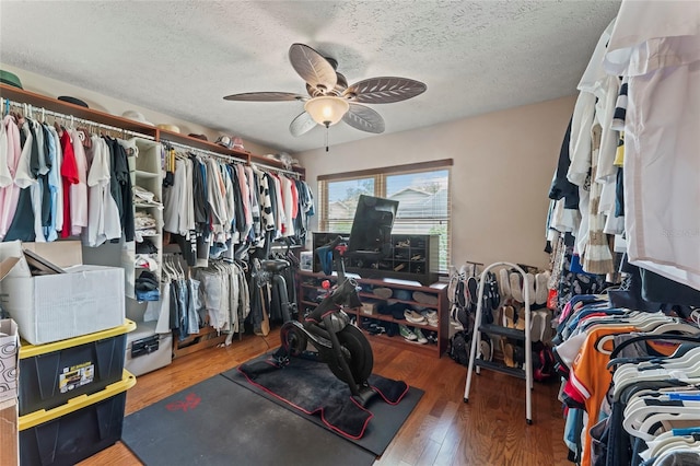 1008 Mallow Way, Brandon, FL 33510 - spacious closet with wood finished floors and a ceiling fan