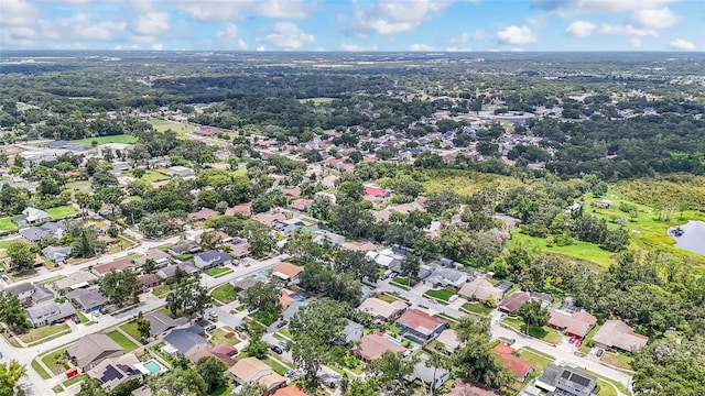 1008 Mallow Way, Brandon, FL 33510 - aerial view of residential area
