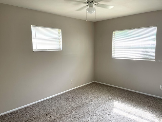8307 Tupelo Dr, Tampa, FL 33637 - photo 6