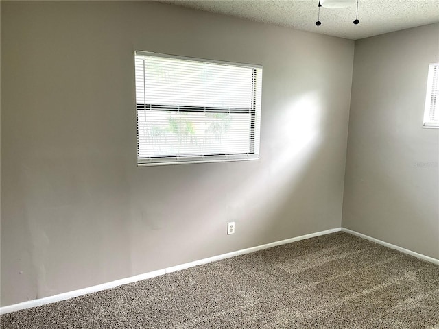 8307 Tupelo Dr, Tampa, FL 33637 - photo 8
