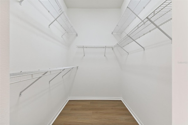 5321 Silver Charm Ter, Wesley Chapel, FL 33544 - spacious closet with dark wood finished floors