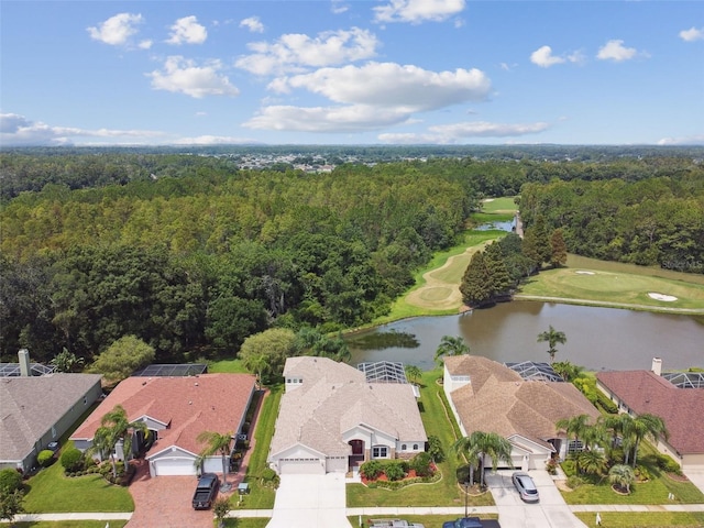 5321 Silver Charm Ter, Wesley Chapel, FL 33544 - aerial view of residential area featuring a large body of water and a heavily wooded area